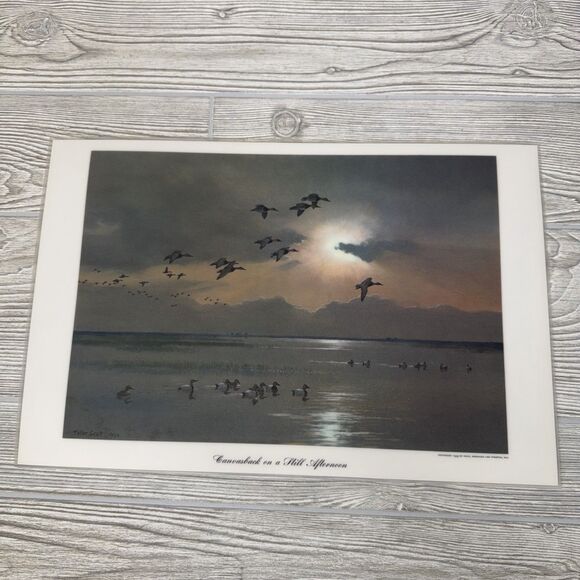 Peter Scott Waterfowl Laminated Placemats Lot Of 6 Vintage 1953 Ducks Geese - Picture 10 of 16